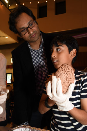 a small child holding a human brain and showing it to his observant father