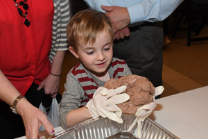 a very small male child holds a human brain