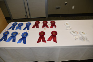A table layed out with red, blue, and white winner's ribbons.