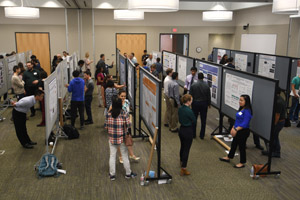 A long shot of people milling about the aisles of posters