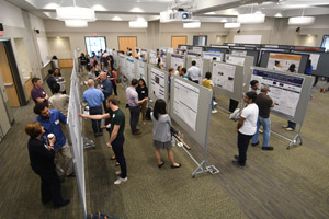 An elevated long shot showing several rows of posters being presented and people mingling.