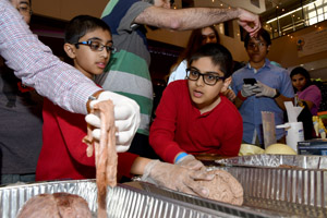 Two male tweens wearing glasses watching a gentleman lift a preserved brain stem and spinal cord from an aluminum tray containg a brain 