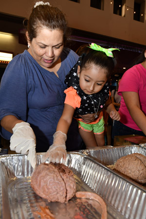 A woman holding a small child and poking at a preserved human brain