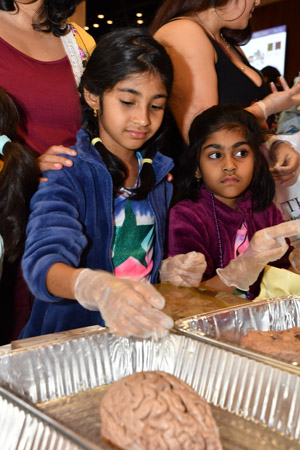 Two young girls experimentally touching a preserved human brain