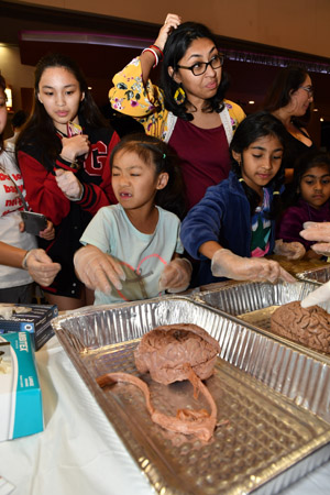 A smal child looks away in disgust at the preserved human brain in an aluminum tray before her