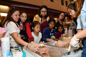 A crowd of people looking at several trays of preserved human brains