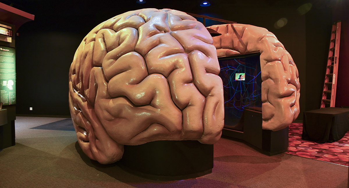 large walk through brain