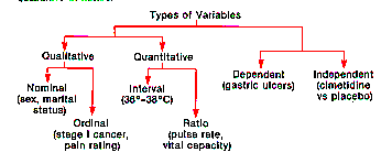 Figure 1.1 Types of Variables